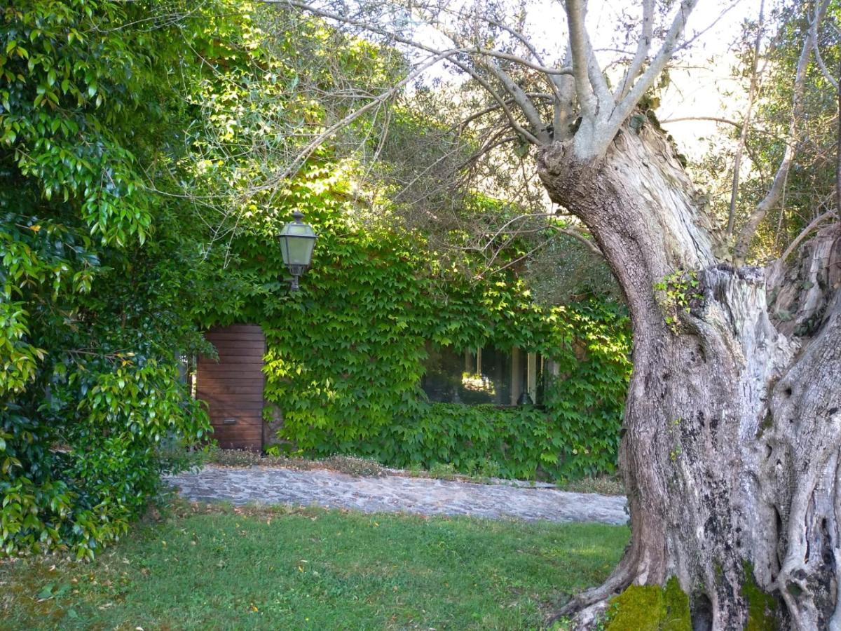 L'Agnata di De André Boutique Hotel Tempio Pausania Buitenkant foto